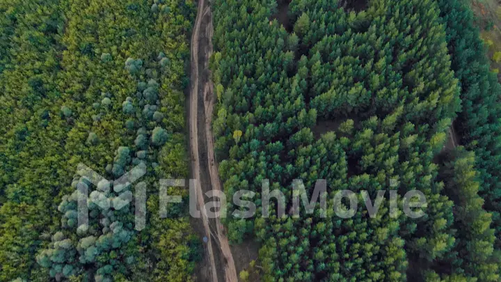 4K aerial of flying over a beautiful green forest in a rural landscape