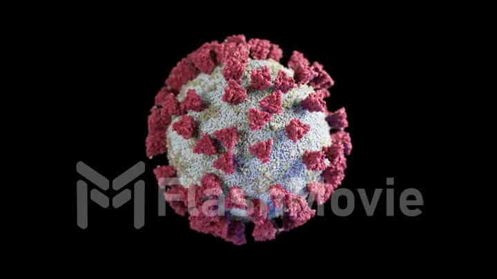 Rotation of a virus molecule on a black isolated background