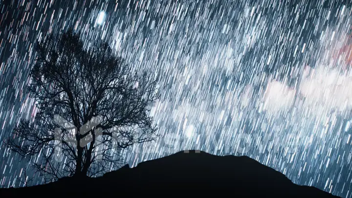 A time lapse of a starry night with a shadow of a tree in foreground and with a star trail effect. 3d illustration Elements of this image furnished by NASA