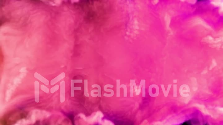 Colorful red smoke. Ink swirling underwater. Colored acrylic cloud abstract smoke explosion animation. Close up view