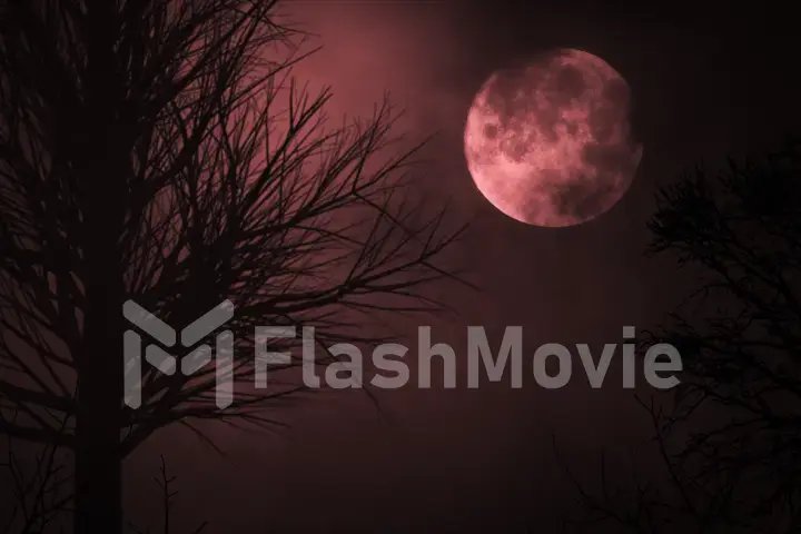 Blood red moon light night sky. spooky trees silhouette. darkness. scary sky. clouds moving realistic 3d illustration