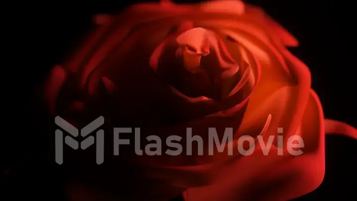 Single red rose close up on a black background with a beautiful light shimmering effect ed illustration