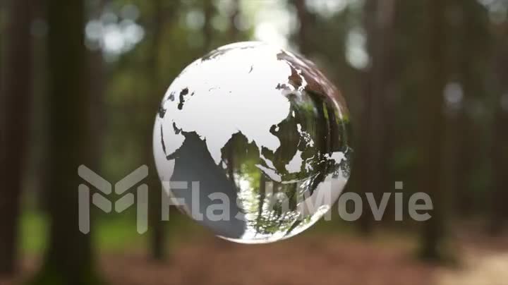 A crystal ball shaped planet Earth rotates endlessly against the backdrop of the forest 3d animation of seamless loop
