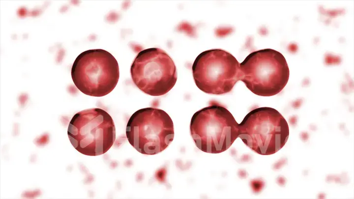 Reproduction of blood cells in the living body Illustration