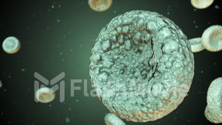 Realistic rendering of bacteria