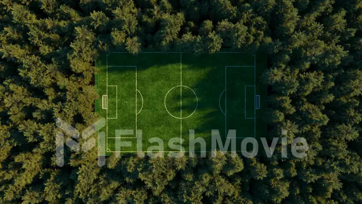 Football field in the middle of the forest top view. Simulated aerial photography. Realistic 3d illustration