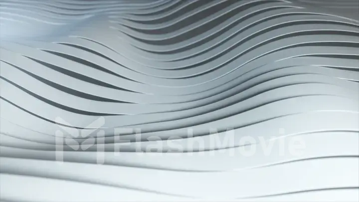 Background of rows of multicolored pop-up white stripes. Colorful wave gradient animation. Future geometric patterns motion background.3d illustration