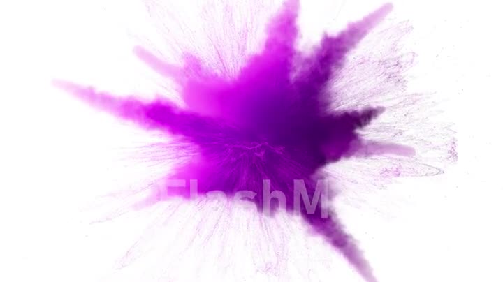 Super slow motion of purple colored powder explosion