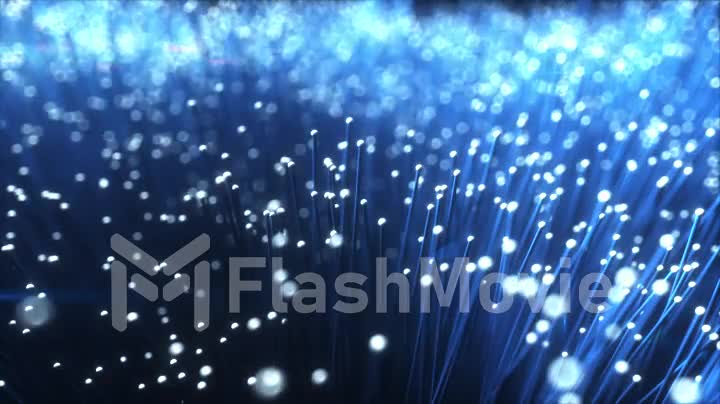Millions of fiber optic cables carry the signal