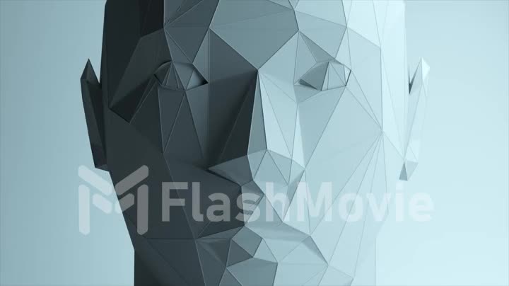 Creates a polygonal digital human face. Increase polygons and quality. Seamless loop 3d animation