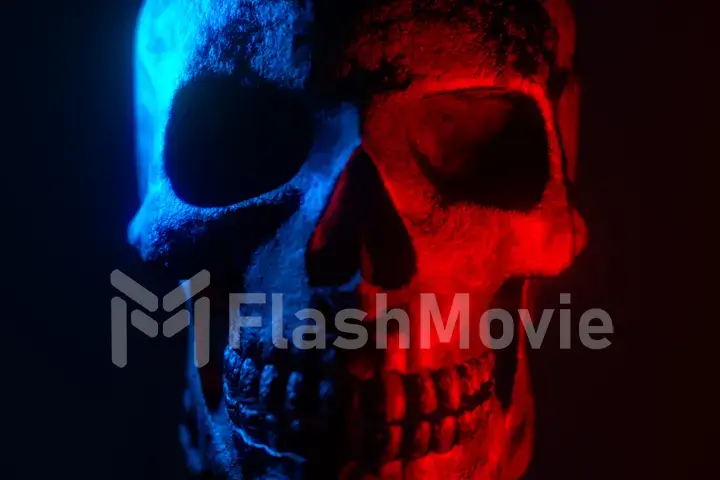 Human texture skull rotates on an isolated black background. Neon turquoise and red light. Spook and sinister. Glamour, disco, halloween concept. 3d illustration