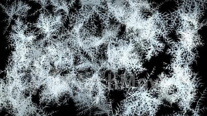 Beautiful freezing animation. Patterns of ice and frost spread to the screen on an isolated black background.