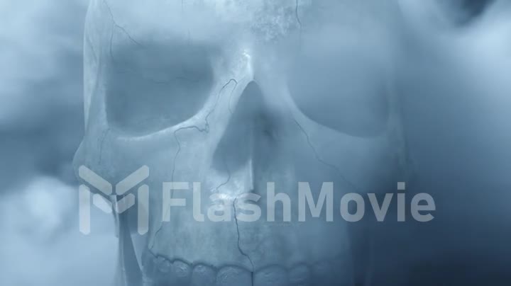 Textured skeleton skull in smoke