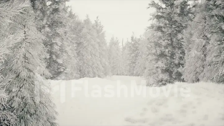 Winter snowfall in the forest, gentle lovely snowy Christmas morning with falling snow. Winter landscape. Snow covered trees and trails. Fog. Ultra realistic 3d illustration