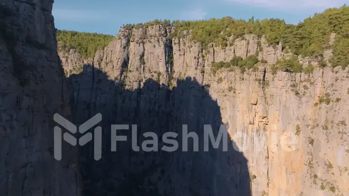 Aerial drone view. Trees grow on high gray rocks. Mountain landscape. Extreme. Sunny day. Blue sky.