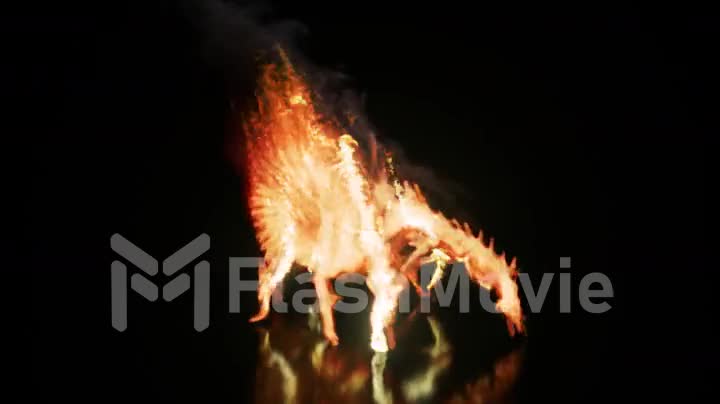 Burning Collection. Fire spider. Nature and animals concept. Orange color. 3d animation of seamless loop.