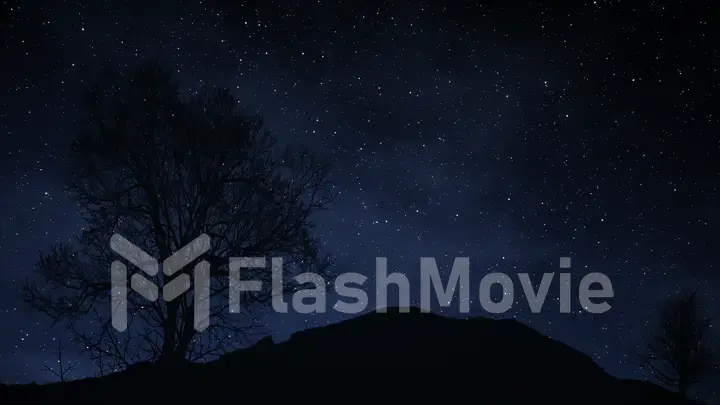 A time lapse of a starry night with a shadow of a tree in foreground and with a star trail effect 3d illustration