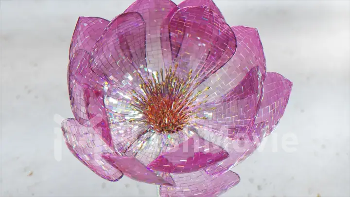 The concept of nature and animals. The pink diamond flower has blossomed. Petals. Pistils. Inflorescence.3d illustration