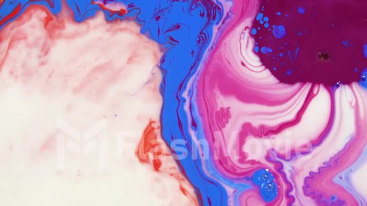 Liquid Colorful Paint pattens mix in slow motion