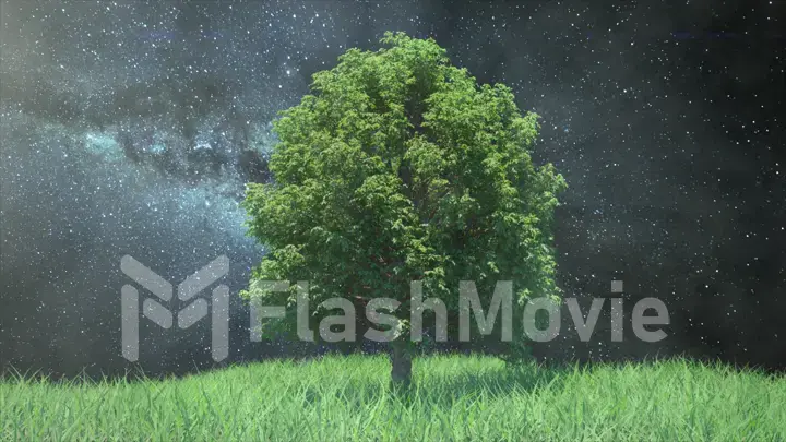 3d illustration growing tree on a hill with grass on the background of the Milky Way, space and stars