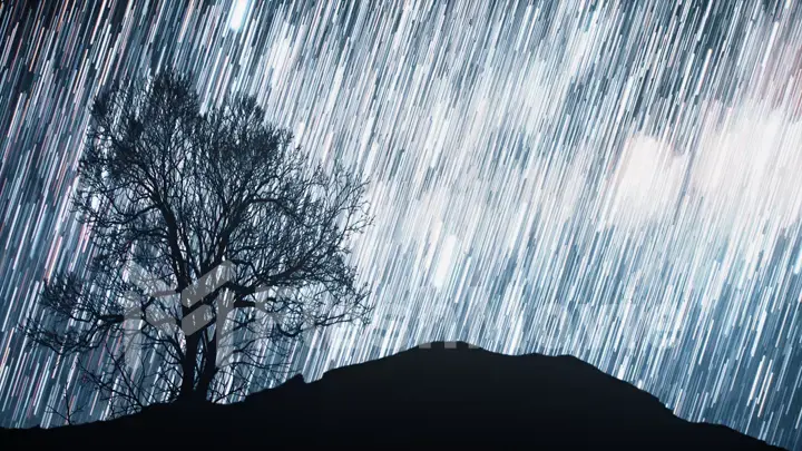 A time lapse of a starry night with a shadow of a tree in foreground and with a star trail effect. 3d illustration Elements of this image furnished by NASA