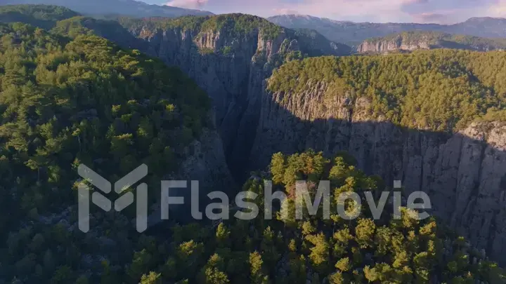 Aerial drone view of big canyon in sunny weather. Green trees and gray rocks. Mountain landscape. Blu sky