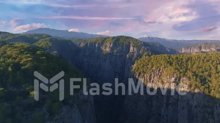 Aerial drone view of canyon in a mountainous area. Sunny day. Green trees. Natural landscape. Photography