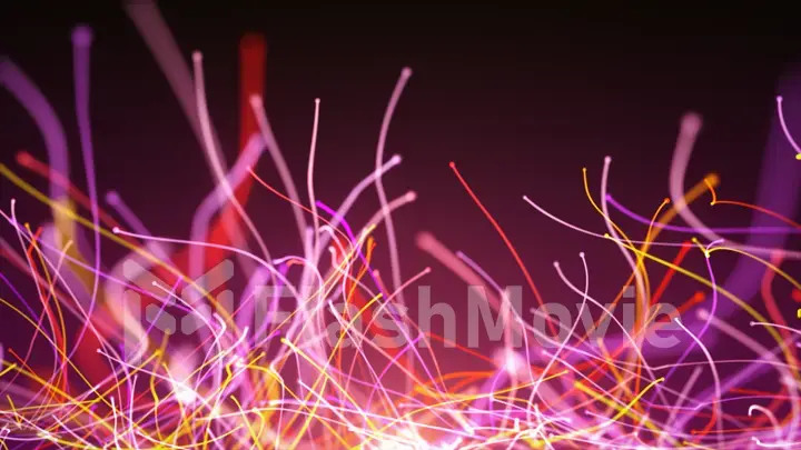 3d illustration abstract rotation of colorful curved lines of fiber-optic wires and particles around the camera