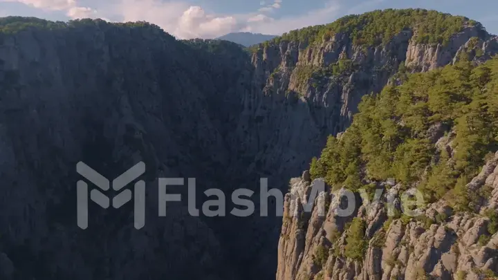 Aerial drone view of big canyon in sunny weather. Green trees and gray rocks. Mountain landscape. Blu sky