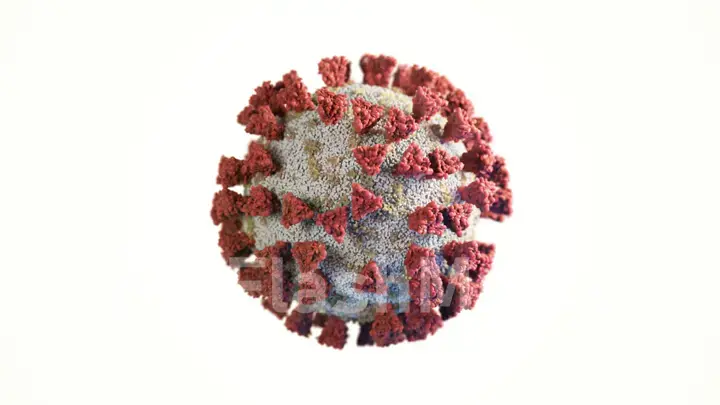 Coronavirus COVID-19 isolated on white background 3d illustration