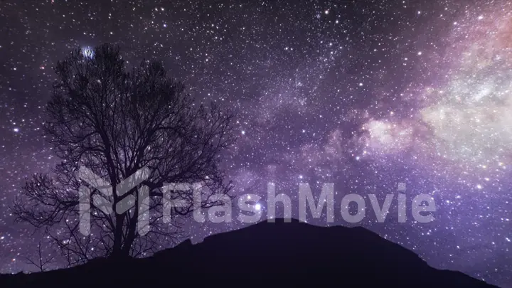 A time lapse of a starry night 3d illustration. Elements of this image furnished by NASA