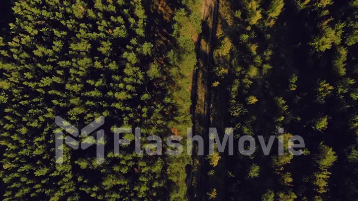 4K aerial of flying over a beautiful green forest in a rural landscape