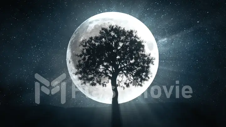 3d illustration of tree against the background of a full moon and a rotating universe around