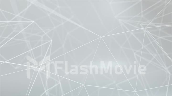 Network animation connected dots on white background. Seamless loop 4K