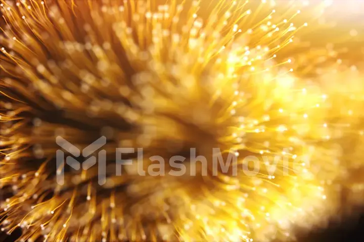 Growing bunch of optical fibers, Distribution of the light signal 3d illustration