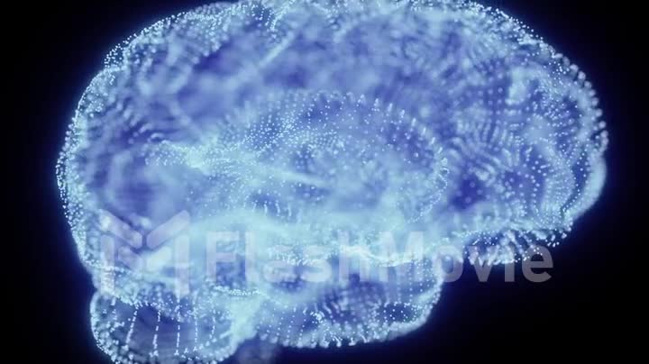 Rotating hologram of human brain, human brain formed from luminous glowing light particles spinning 360 degree, seamless loop 4k animation