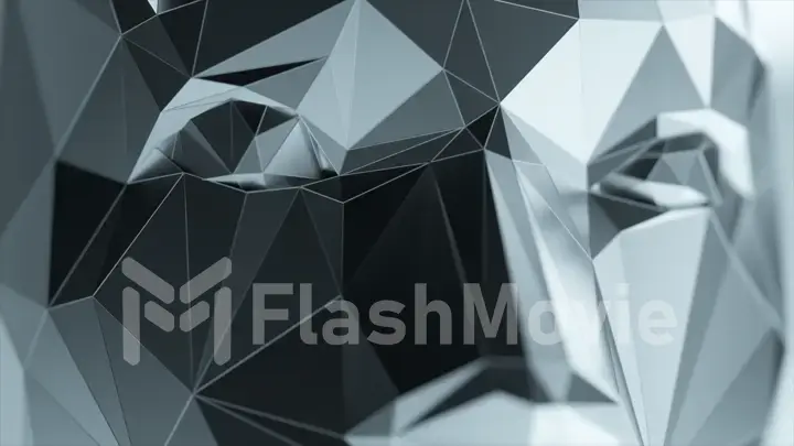 The effect of the appearance of a polygonal digital human face. Artificial intelligence. 3d illustration