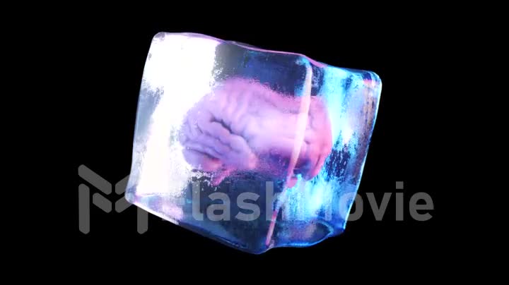 A frozen human brain inside a spinning ice cube