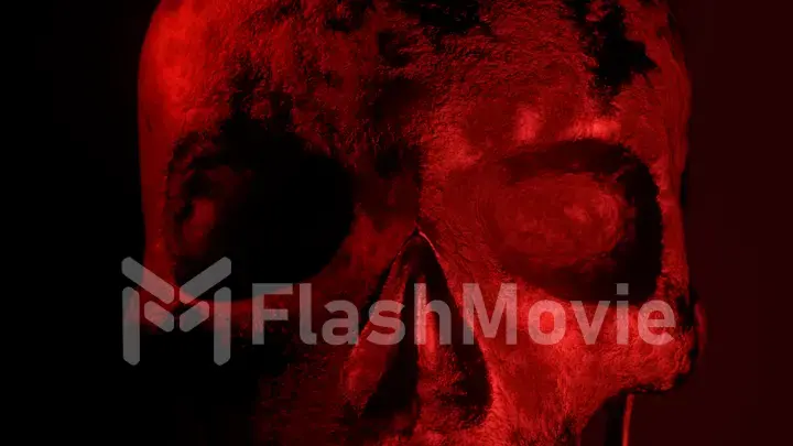 Human texture skull rotates on an isolated black background in red lighting close-up. 3d illustration