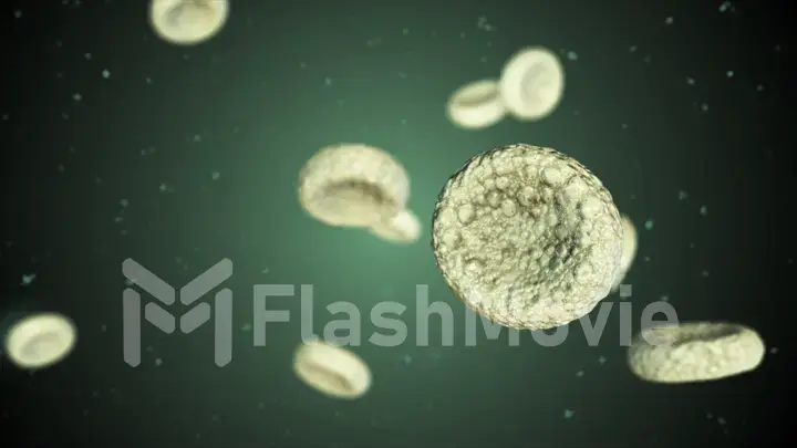 Realistic rendering of bacteria