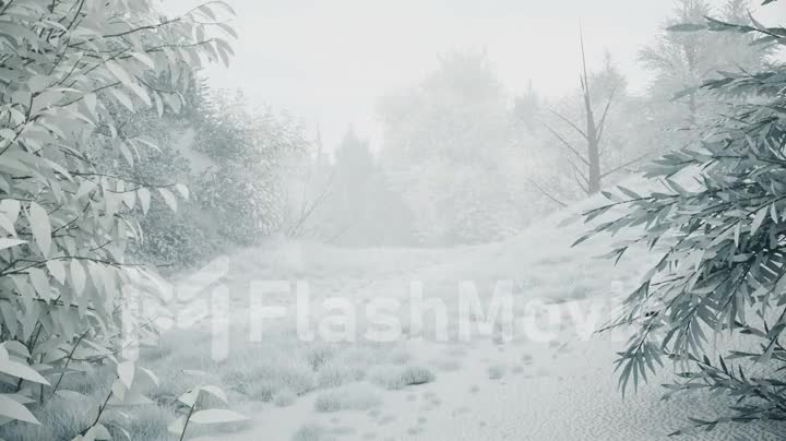 Winter snowfall in the forest, gentle lovely snowy Christmas morning with falling snow. Winter landscape. Christmas background. Snow covered trees. Fog. Ultra realistic 3d seamless loop animation