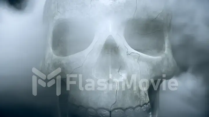 Textured skeleton skull in smoke, The concept of horror. 3d illustration