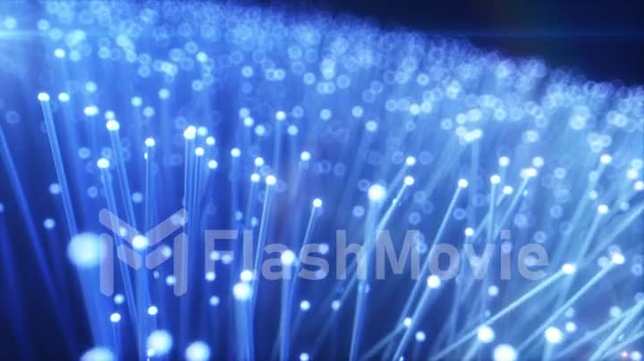 Millions of fiber optic wires transmitting a signal, flashing signal, the concept of the latest technology. Seamless loop 4k animation
