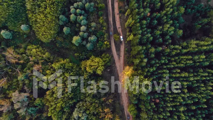 4K aerial of flying over a beautiful green forest in a rural landscape