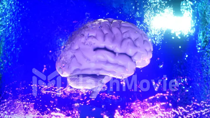 A frozen human brain inside a spinning ice cube. 3d illustration