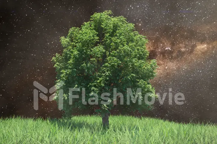 3d illustration growing tree on a hill with grass on the background of the Milky Way, space and stars