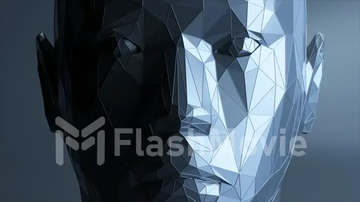 Creates a polygonal digital human face. Increase polygons and quality. 3d illustration
