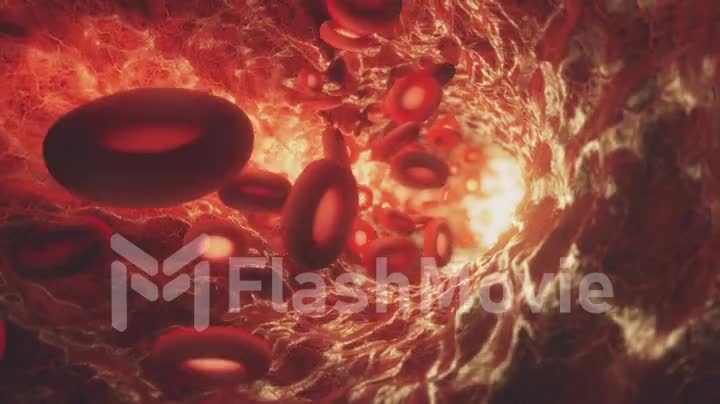 Red blood cells moving in the bloodstream in an artery