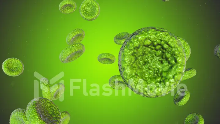 Realistic rendering of bacteria - in green colors