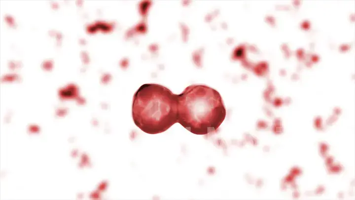Reproduction of blood cells in the living body Illustration